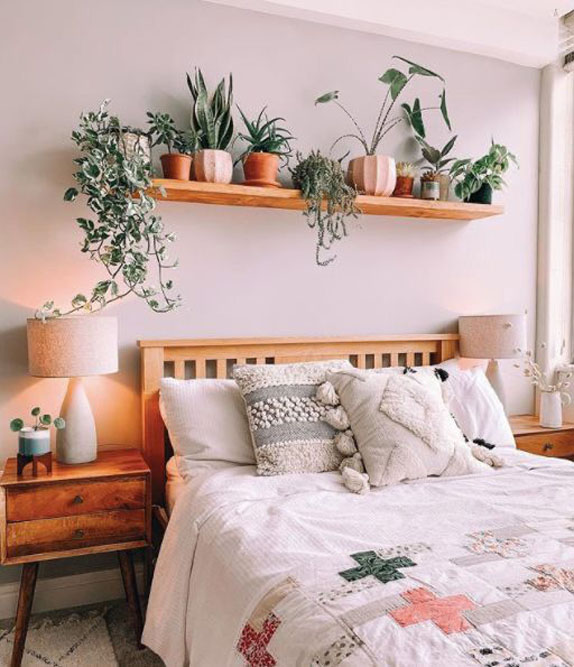 Топ 10 лучших растений для спальни